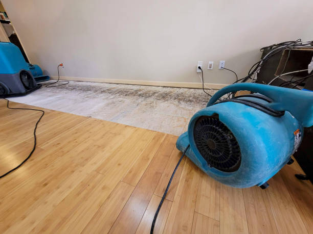 Professional Basement Flood Cleanup technician working in Pell Lake, WI